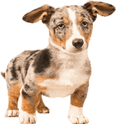 帮您管理资源的网站攻击手段