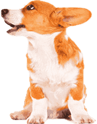 免费DDOS攻击测试工具