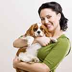 免费DDOS攻击测试工具