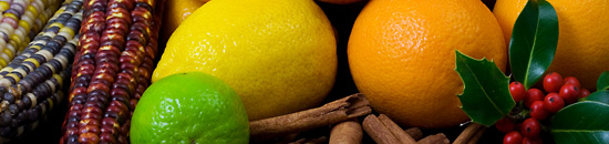 网站攻击工具手机版